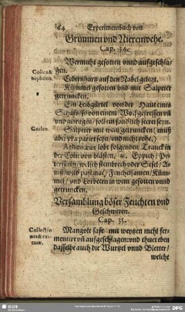 Versamblung böser Feuchten und Geschweren. Cap. 35.