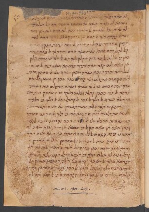 Auslegungen zu Pesaḥ und Levitikus