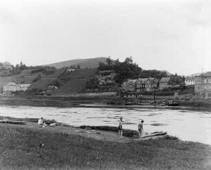 Moseltal : Blick über die Mosel nach Alf