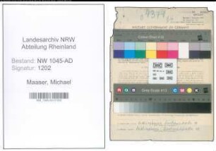 Entnazifizierung Michael Maaser , geb. 23.10.1887 (Angestellter)
