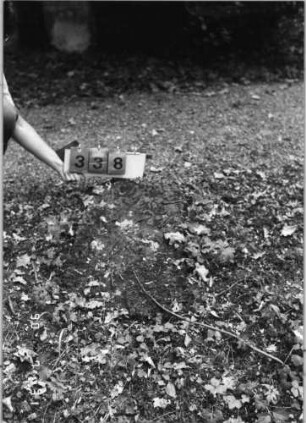 Grabstein 338 (Index: 99791319) Zustand: verwittert Maße HxBxT: 77x41xo.A. cm: Grabstein 338