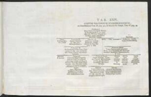 Tab. XXIV. Comitum Palatinorum Summerseburgiorum, ...