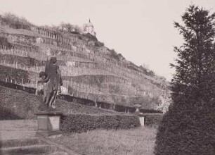 Radebeul, Weinberge
