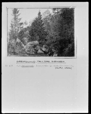 Felspartie (Felspartie im Harz)