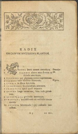 Radix Organum Nutriens Plantam