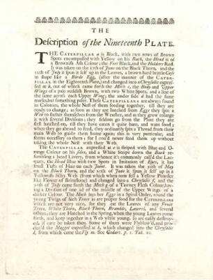 The Description of the Nineteenth Plate