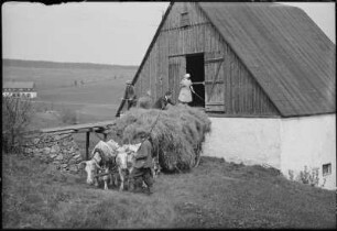 Am Heuschober : Zinnwald-Georgenfeld. Am Heuschober. Giebelansicht
