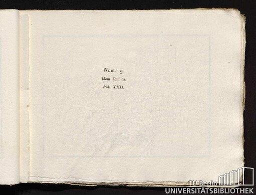 Num.° 9. Idem Fouilles. Vol. XXII.