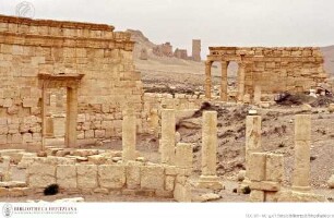 Agora