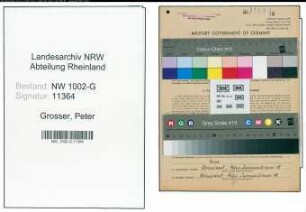 Entnazifizierung Peter Grosser, geb. 09.03.1888 (Kellner)