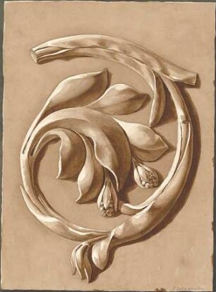 Zocher, Ernst; Studienzeichnungen nach Gipsen - florales Ornament (Ansicht)