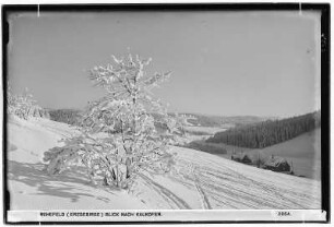 Rehefeld. Blick nach Kalkofen