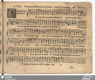 22. Ego sum Pastor bonus