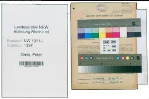 Entnazifizierung Peter Greis , geb. 02.09.1901 (Weber)