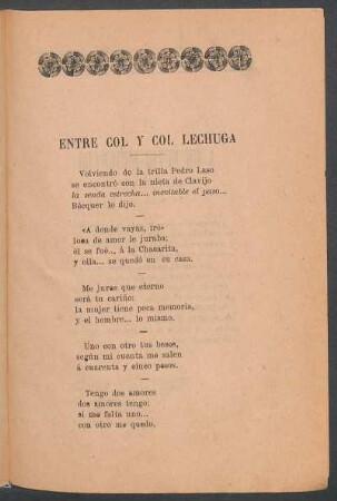 Entre col y col lechuga