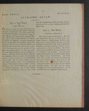 Pflanzen. XXXVII. Getraide-Arten.