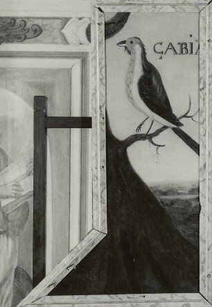 Brasilianische Drossel (CABIA, Turdus brasiliensis) : Brasilianische Drossel (CABIA, Turdus brasiliensis). Öl auf Leinwand (1655/1663; A. van den Eeckhout). Radebeul, Hoflößnitz, Berg- und Lusthaus, Festsaal (nach der Restaurierung)