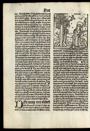 [Van sunte Katharinen.]