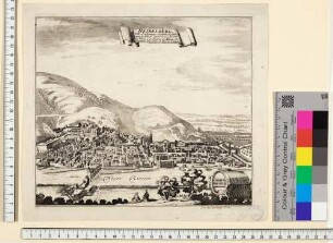 Heidelberg, Stadt und Schloss von Norden