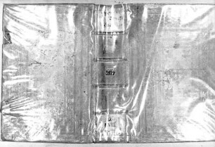Speculum humanae salvationis. Memento mori-Texte [u.a.] - BSB Cgm 3974