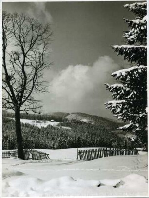 Winterlandschaft bei Hinterzarten