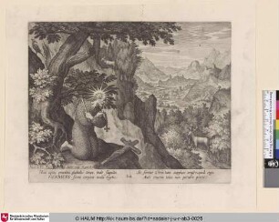 [HENRICUS; Henricus]