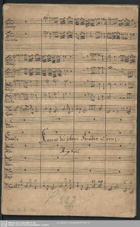 2 Cantatas - Mus.1-E-771 : V (5), Coro, orch, bc