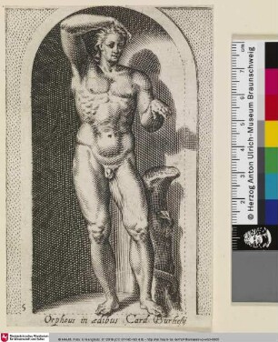Orpheus in ædibus Card. Burhesij