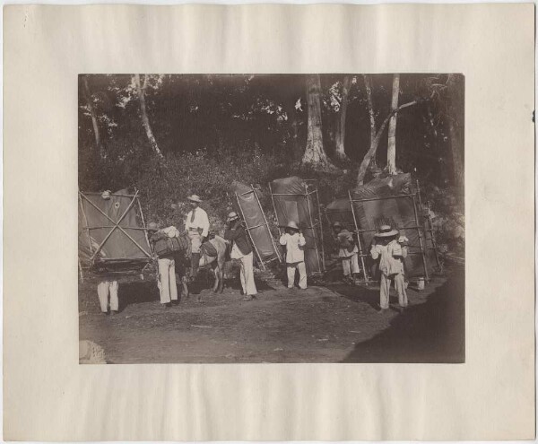 Expedition mit Lasten von Papiermolden auf dem Abmarsch nach der Küste. Auf dem Esel: John G. Owens, Leiter der ersten beiden Expeditionen des Peabody Museums nach Copán.