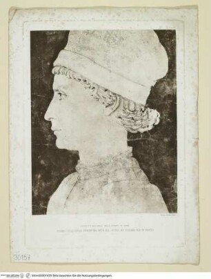 Porträt eines jungen Mannes - Anonimo della Scuola Fiorentina, Metà del Secolo XV