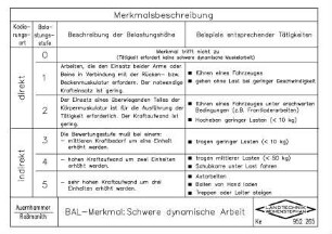 BAL-Merkmal: Schwere dynamische Arbeit