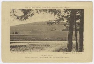 Kassel Hohes Gras
