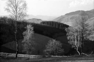 Landwasser: Landschaft, Blick ins Tal