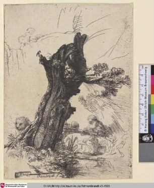 [Der Hl. Hieronymus neben einer Kopfweide; St. Jerome Beside a Pollard Willow, Looking Down; Saint Jerôme]