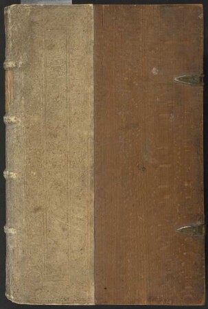 Pedanii Dioscoridis Anazarbei De Medicinali Materia Libri Sex