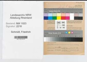 Entnazifizierung Friedrich Schmidt , geb. 01.03.1891 (Kaufmann)