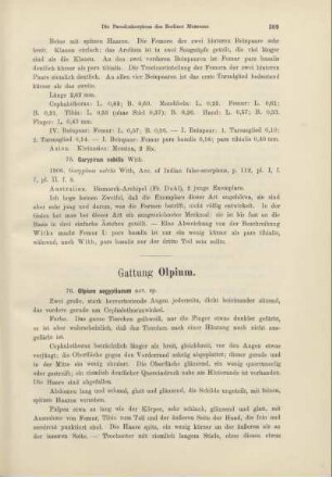 Gattung Olpium