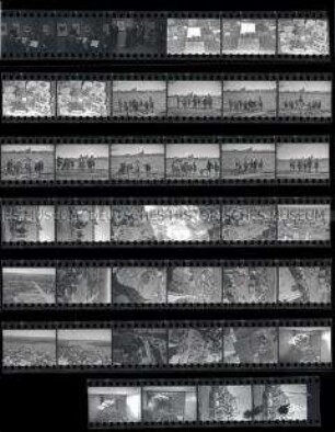 Schwarz-Weiß-Negative mit Aufnahmen aus Rostock, mit Stadtaufnahmen von oben, Ruinen und Kindern, die am Ufer der Warnow spielen, Süßwarenladen