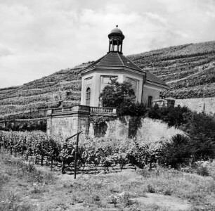 Radebeul. Schloß Wackerbarth, Belvedere und Weinberge