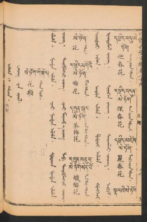 Ilha i hacin = Čečeg-ün jüil = 花類