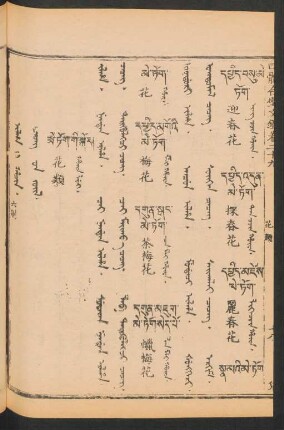 Ilha i hacin = Čečeg-ün jüil = 花類
