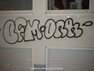 BFM ONR
