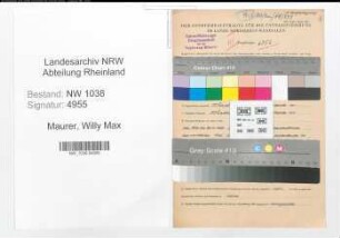 Entnazifizierung Willy Max Maurer , geb. 03.02.1908 (Angestellter)