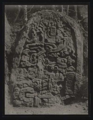 [157]: Yaxhá / El Petén