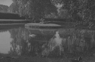 Veitshöchheim: Teich mit Schwan [im Schlosspark]
