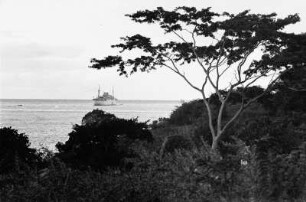 Reisefotos Karibik. Trinidad. Blick von der Küste zu einem Passagierschiff, wahrscheinlich der Milwaukee