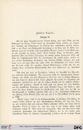Fünftes Kapitel. Julius II