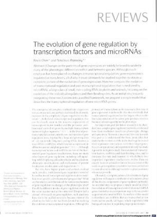 The evolution of gene regulation by transcription factors and microRNAs