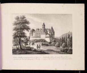 Heidelberger Schloss von Nordosten gesehen