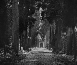 Archivfotografie "ausland_italien_rom_10512"